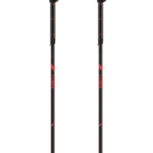 Палки треккинговые COBER Buxus